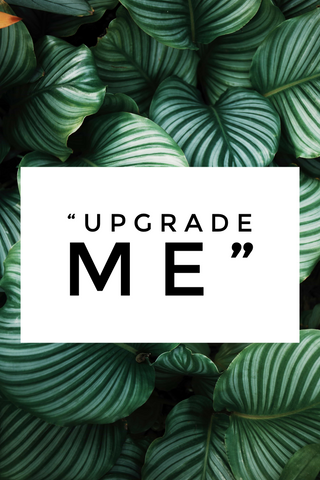 “UPGRADE ME”